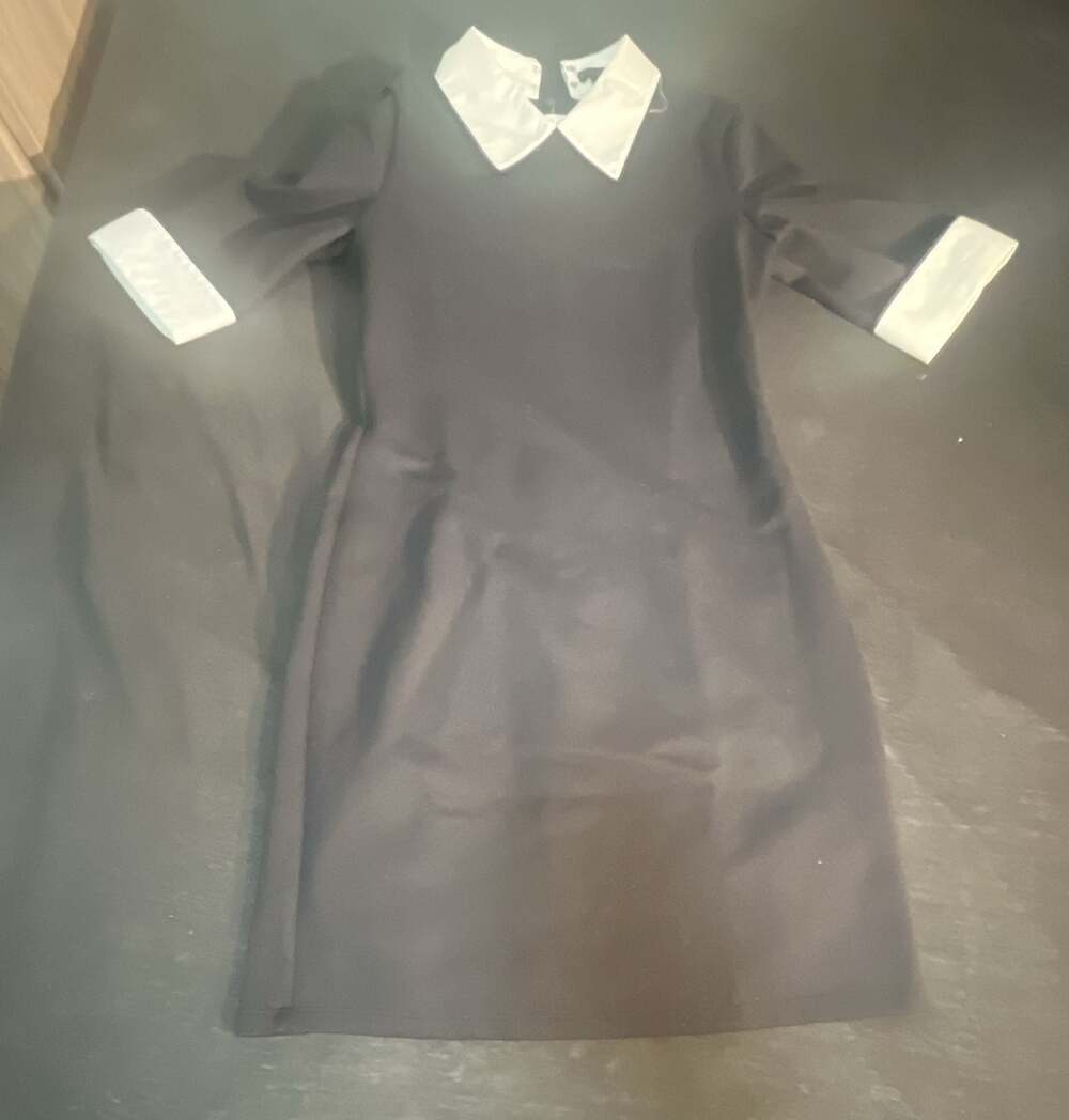 alice + olivia Black Mini Dress with White Contrast Collar and Cuffs - Picture 8 of 8